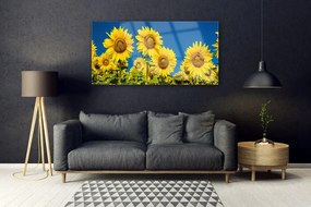 Obraz na akrylátovom skle Slnečnicami rastlina 120x60 cm