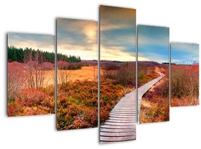 Obraz - Jesenná cesta krajinou (150x105 cm)