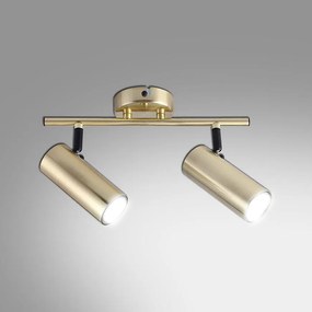 Stropné bodové svietidlo Colly 2x 15 W Zlatý LS2