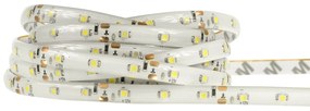 ECOLIGHT LED pásik - SMD 2835 - 5m - 60LED/m - 4,8 W/m - IP65 - studená biela