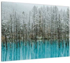 Sklenený obraz - Tyrkysový rybník, Biei, Japonsko (70x50 cm)