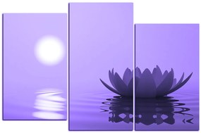 Obraz na plátne - Zen lotus 1167VC (135x90 cm)