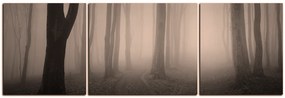 Obraz na plátne - Hmla v lese - panoráma 5182FC (120x40 cm)