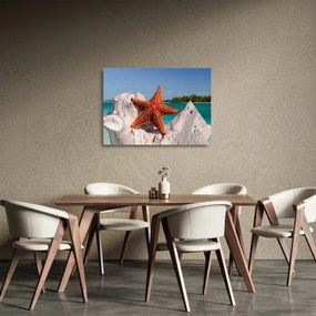 Sklenený obraz morskej hviezdice (70x50 cm)