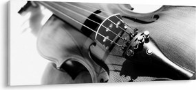 Obraz - Husle (120x50 cm)