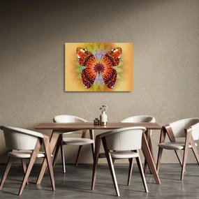 Sklenený obraz - Etno motýľ (70x50 cm)