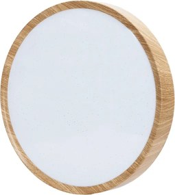 BRILAGI - LED stropné svietidlo NATURA LED/24W/230V 4000K pr. 38,3 cm