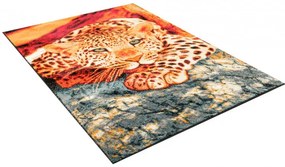 Koberec Rainbow 11123/120 leopard