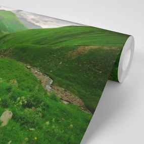 Samolepiaca fototapeta zelená krajina - 450x300