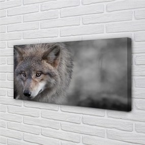 Obraz na plátne vlk 140x70 cm