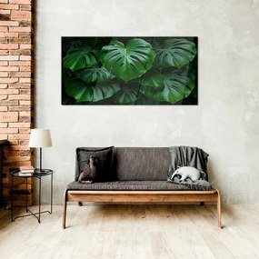Skleneny obraz Moderné listy rastlín