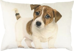 Plátený vankúš so šteňaťom Jack Russel - 35 * 50 * 10cm