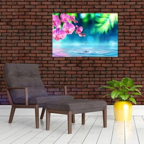Obraz - Orchidea (90x60 cm)
