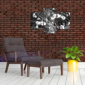 Obraz - Pavučina na lúke (90x60 cm)