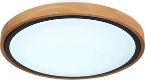 Globo 41764-12 - LED Stropné svietidlo BRUNO LED/12W/230V 307 mm 3000/4500/6000K