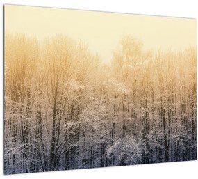 Sklenený obraz mrazivého lesa (70x50 cm)