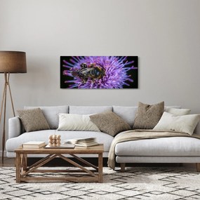 Obraz včely na kvetine (120x50 cm)