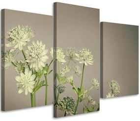 Gario Obraz na plátne Poľné kvety - 3 dielny Rozmery: 60 x 40 cm