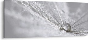 Obraz - Kvapka vody (120x50 cm)