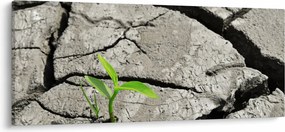 Obraz - Praskliny (120x50 cm)