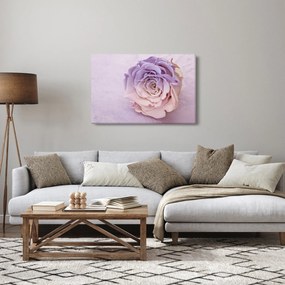 Obraz detailu kvetu ruže (90x60 cm)