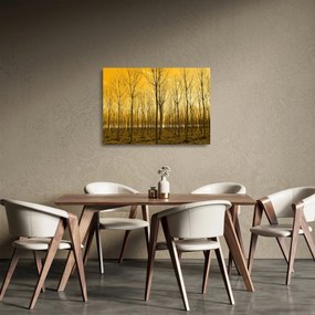 Sklenený obraz lesa pri západe slnka (70x50 cm)