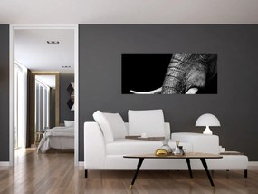 Obraz - Slonie kly (120x50 cm)