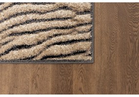 Hnedý koberec 160x220 cm Avanti – FD