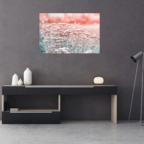 Obraz - Lúčne kvety (90x60 cm)