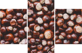 Obraz - Zrelé gaštany (90x60 cm)