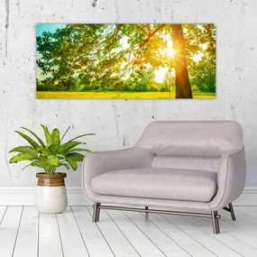 Obraz - Slnečný les (120x50 cm)