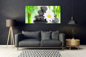 Obraz plexi Bambus kamene zen kvet 120x60 cm