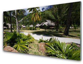 Sklenený obklad Do kuchyne Listy palmy stromy príroda 120x60 cm