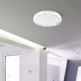 LED Stmievateľné stropné svietidlo LED/60W/230V 3000/4000/6500K + DO