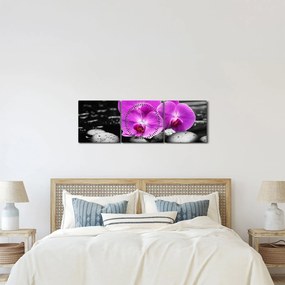 Obraz - Fialové orchidey (s hodinami) (90x30 cm)