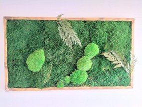 Machový obraz- lesný mach s papradím 40cm x 80cm