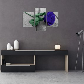Obraz - Modrá ruža so zelenou stonkou (90x60 cm)