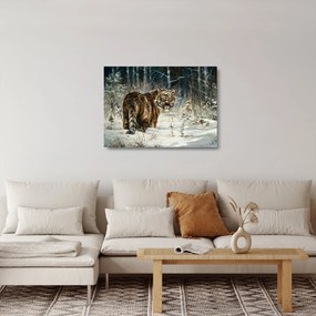 Sklenený obraz - Tiger v zasneženom lese, olejomaľba (70x50 cm)