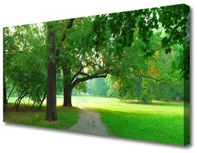 Obraz Canvas Chodník stromy príroda 125x50 cm