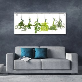 Obraz plexi Listy príroda byliny 125x50 cm