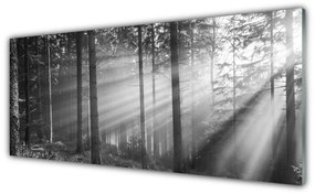 Obraz plexi Les príroda lúče slnka 125x50 cm