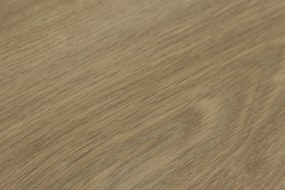 IVC Commercial, PVC podlaha - lino Logitex Ultimate 55 Elias T47, na mieru, šíře 2m,4m, hnedá, filc, chodba / predsieň