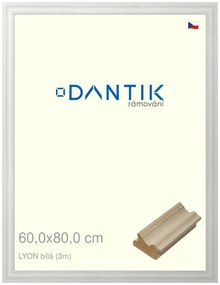 DANTIK rám na obraz 60x80 | LYON Bílá (Plexi Čiré)