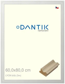 DANTIK rám na obraz 60x80 | LYON Bílá (Plexi Čiré)