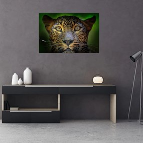 Obraz - Portrét leoparda, Sri Lanka (90x60 cm)