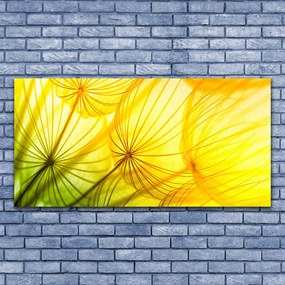 Obraz plexi Púpavy kvety príroda 120x60 cm