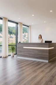 Beauflor, PVC podlaha - lino Toptex Lime Oak 796M, na mieru, šíře 4m,5m, šedá, filc, chodba / predsieň