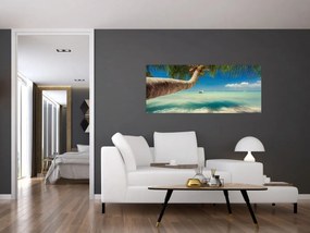 Obraz - Čisté more s palmou (120x50 cm)