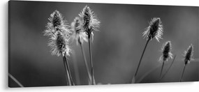 Obraz - Béžová soft grass N⁰2 (120x50 cm)