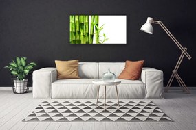 Obraz na plátne Bambus rastlina 140x70 cm